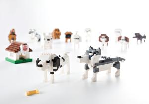 앤스브릭코리아, 블록으로 강아지 만들고...반려동물 위한 기부까지 - 뉴스 썸네일 이미지