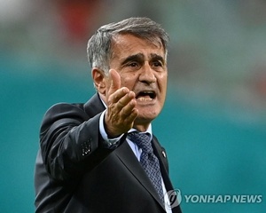 <b>귀네슈</b>, 한국 축구 대표팀 감독? 축협 정해성 "오보"
