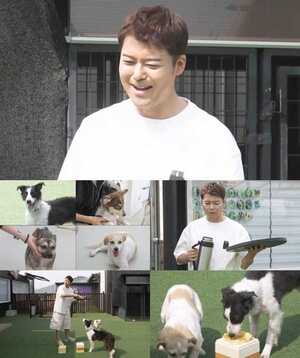 '나혼산' <b>전현무</b>, <b>유기견 봉사</b>활동 인연 '무패밀리' 바캉스