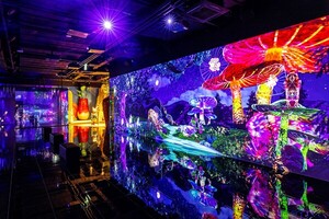 &quot;여름엔 호캉스지&quot;...웨스틴 조선 서울 '2024 아워 유니크 펀' 外 - 뉴스 썸네일 이미지