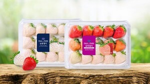 에스피아그리 스마트팜, 여름딸기 첫 출하 - 뉴스 썸네일 이미지