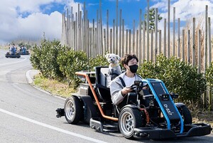 가을은 댕댕이 계절...호텔가, 반려동물 맞춤 이벤트·패키지 풍성 - 뉴스 썸네일 이미지