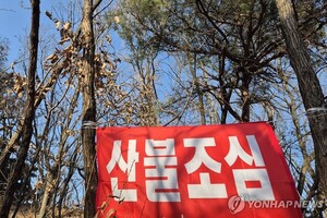 대구 관련 이미지 1