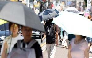 뷰티업계, 극한폭염에 '여름 생존템' 인기...냉각템부터 드라이샴푸 - 뉴스 썸네일 이미지