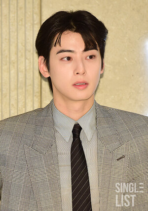 '내년 1월 전역' <b>차은우</b>, '<b>서라벌 나이프</b>' <b>출연</b>? "검토 중인 작품 중 하...