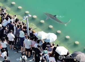 전재수 부산시장 "상어 <b>부캉이</b>, 연예인 기질...돈으로 환산 못할 북항 홍...